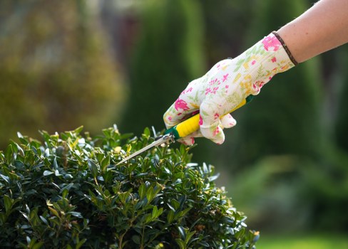 Gardeners carrying out safe outdoor maintenance with protective equipment
