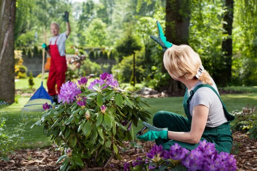 Garden maintenance work in a Silvertown outdoor space