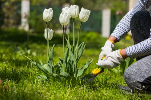 Healthy green lawn care in Silvertown with neat mowing and edging