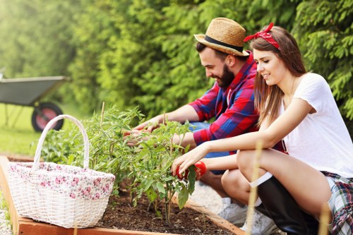 Professional lawn mowing in Silvertown on a neat residential lawn