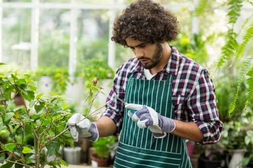 Local lawn care maintenance for a healthy Silvertown garden
