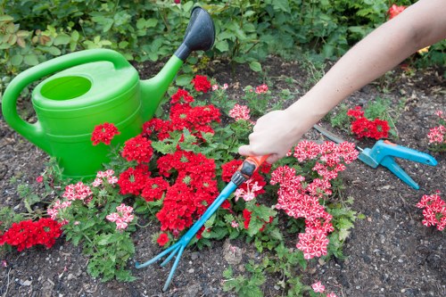 Professional gardeners working on a landscaped garden in Silvertown