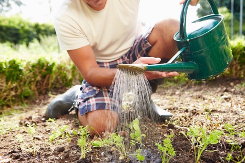 Urban landscaping design tailored for Silvertown properties