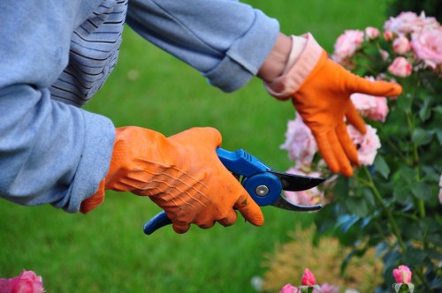 Accessible gardening information for the Silvertown area
