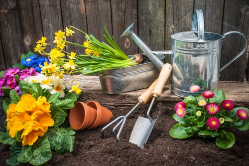 Professional gardeners in Silvertown shaping a private garden space