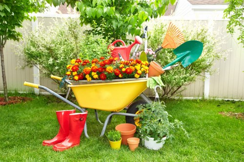 Feeding and watering a residential lawn in Silvertown for better growth