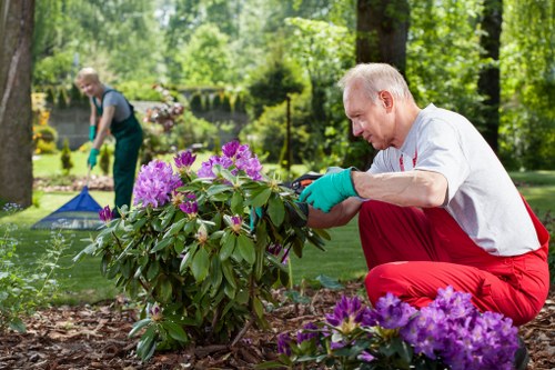 PPE used by gardeners in Silvertown