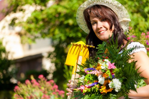 Professional lawn care in Silvertown improving a patchy garden lawn