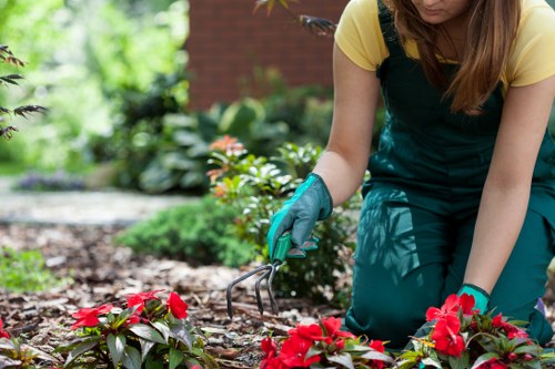 Payment, cancellation, and liability terms for garden services