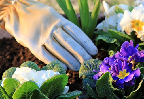 Inspection of garden tools and equipment for safe use