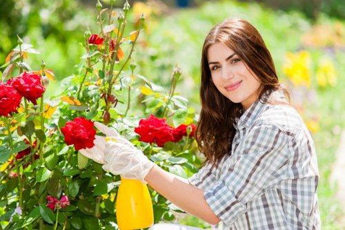 Professional garden maintenance in Silvertown for residential outdoor spaces