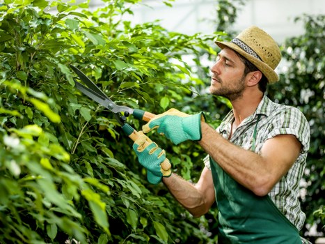Final section of a fair garden maintenance complaints procedure