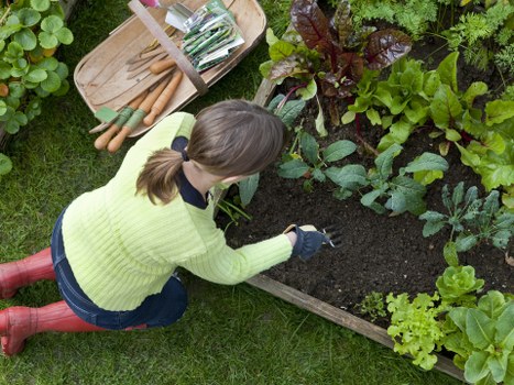 Inclusive online access for Silvertown gardening services