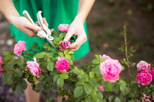 Recordkeeping in a garden service complaints process