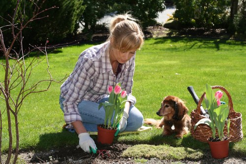 Gardeners Silvertown creating a tidy and vibrant outdoor area