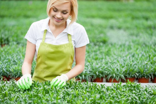 Reusable garden items prepared for charity donation