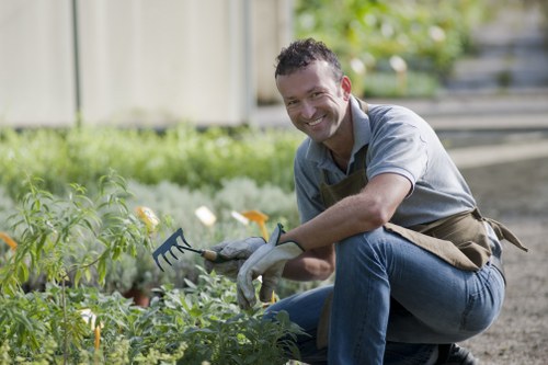Silvertown gardeners improving a courtyard with planting and seasonal upkeep