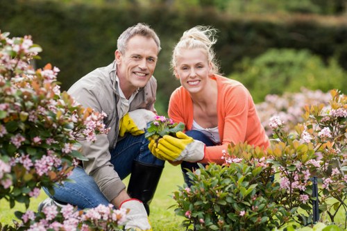 Local garden maintenance scene with plants and tidy borders