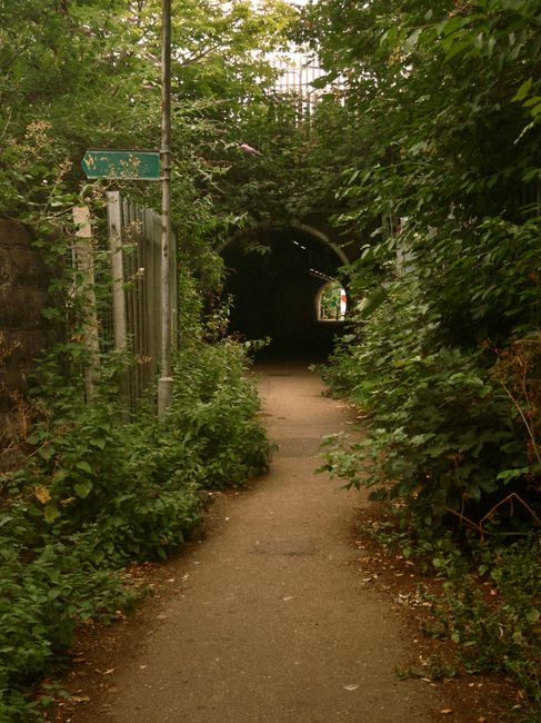 A narrow concrete footpath bordered by dense green foliage and bushes on both sides, leading towards a dark tunnel beneath a railway or roadway. To the left, a metal fence runs alongside the path, wit