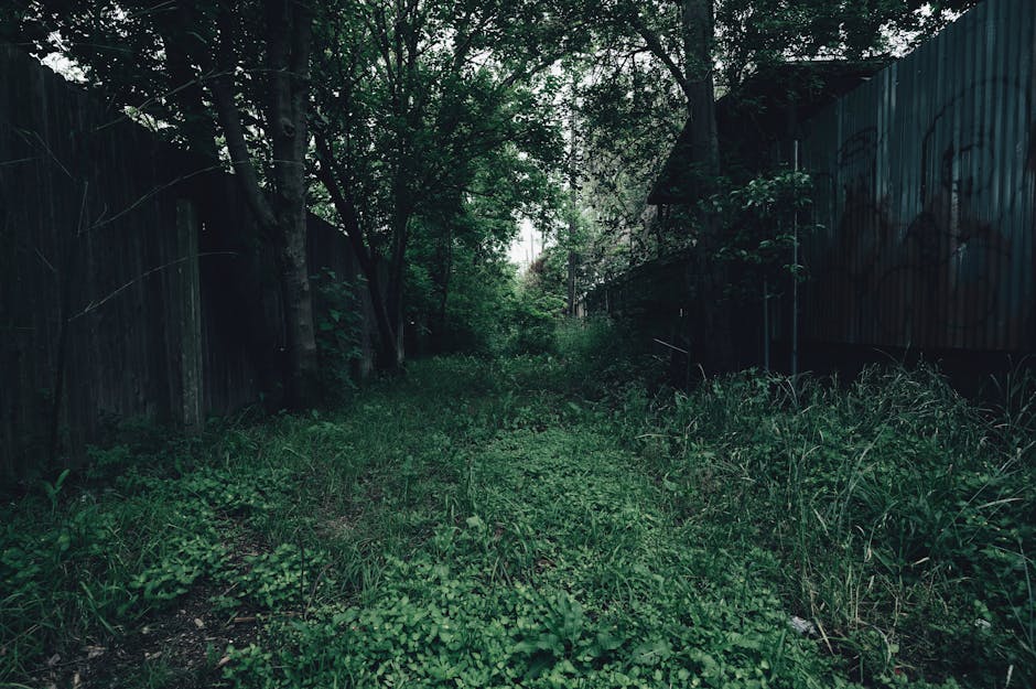 A narrow concrete footpath bordered by dense green foliage and bushes on both sides, leading towards a dark tunnel beneath a railway or roadway. To the left, a metal fence runs alongside the path, wit